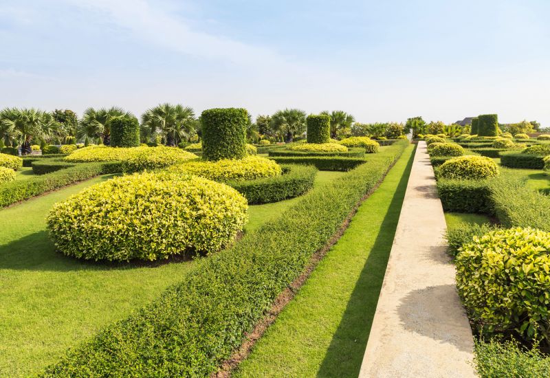 Landscape with Symmetrical Shrubs