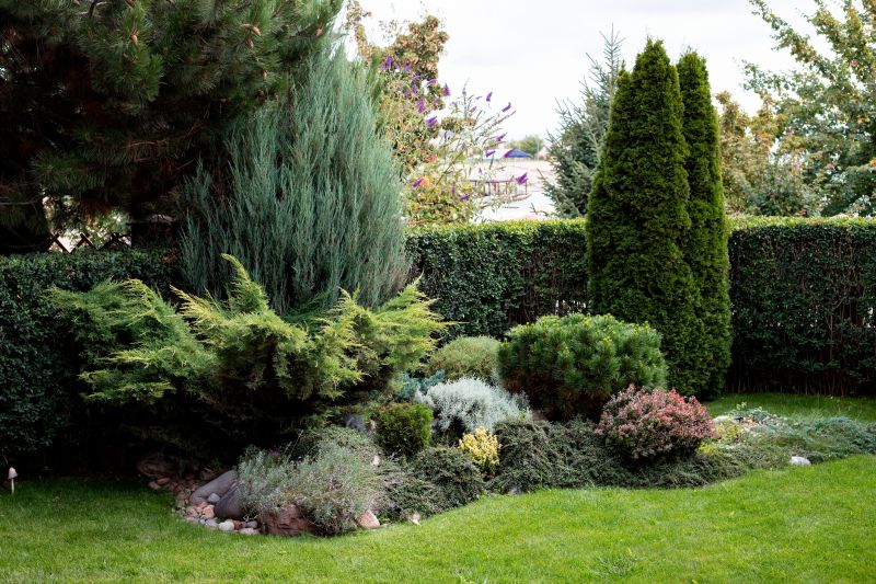 Garden with Varied Shrub Heights